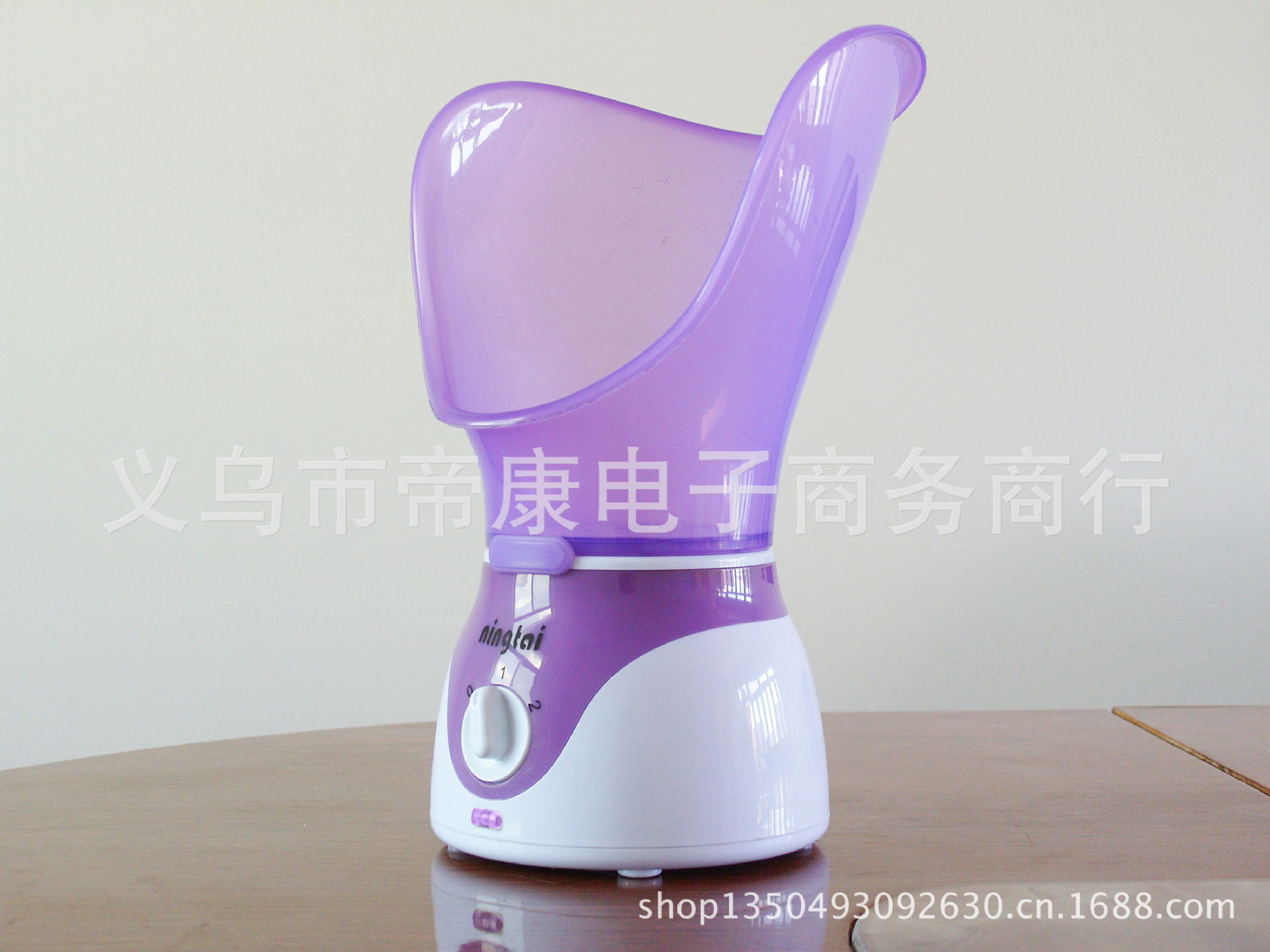 蒸臉器13