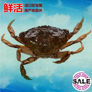 【海螃蟹价格】海螃蟹价格价格\/图片_海螃蟹价