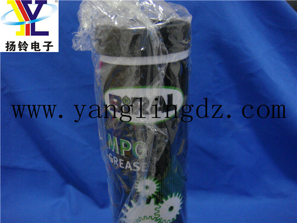 DSC03314