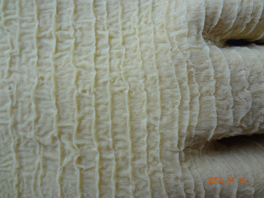 【长筒乳胶皱纹劳保手套防水耐磨防滑保暖】价