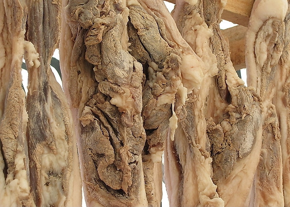 腊肉冷风干燥机01