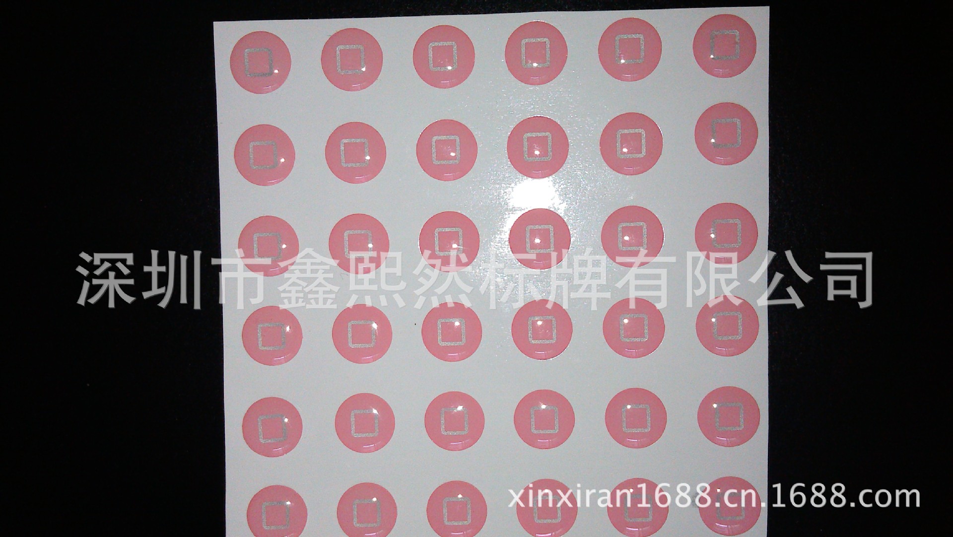 IMAG0577