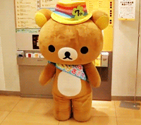 小熊点头收藏图