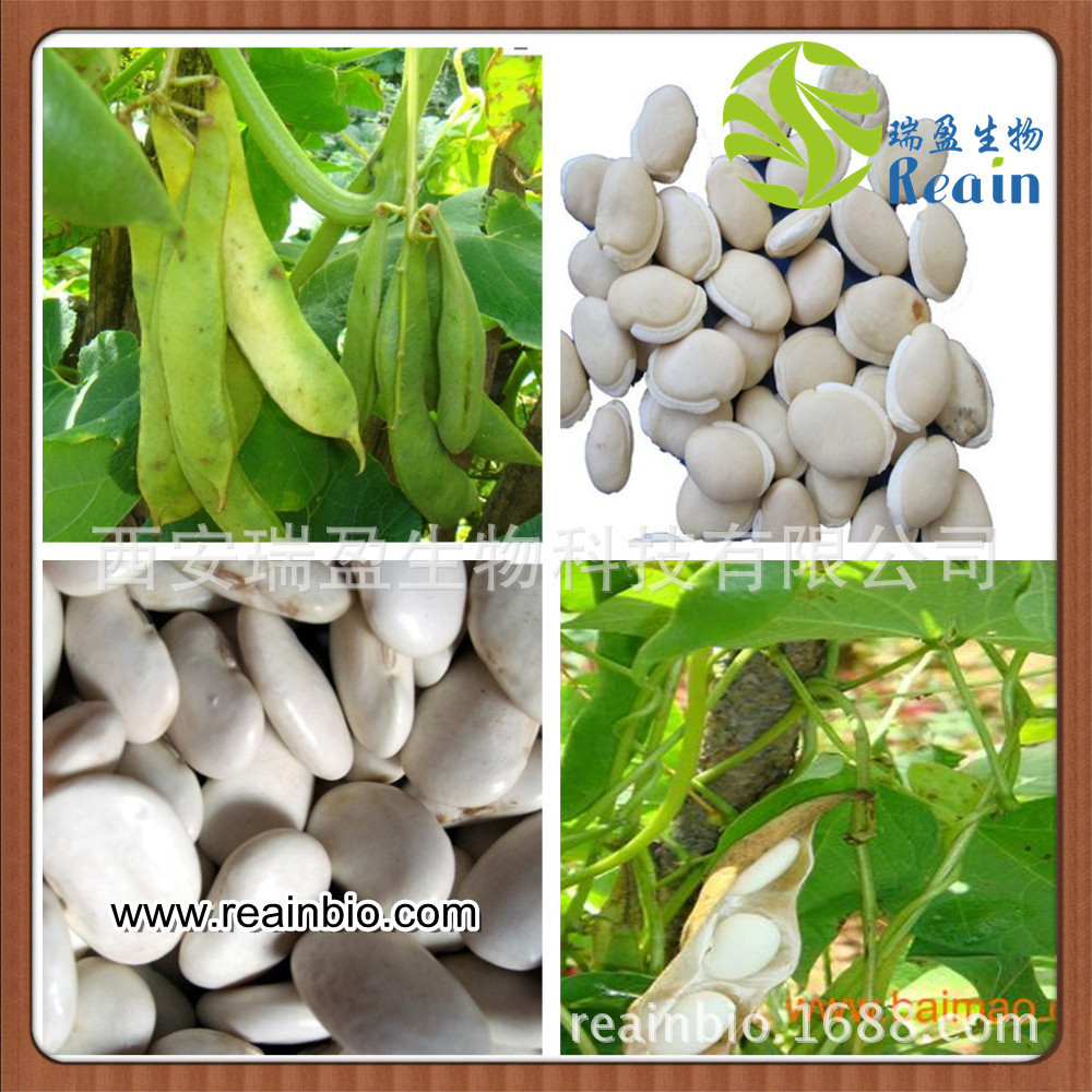 白芸豆提取物 英文名称:whitekidney bean extract 原料别名:花菜豆