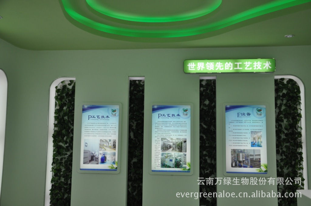 蘆薈膠囊 可貼牌生產(chǎn)銷(xiāo)售 植物提取物 保健品原料 蘆薈提取物