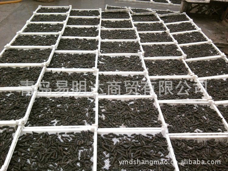 干制水产品-哪种海参好 什么样的海参适合自己