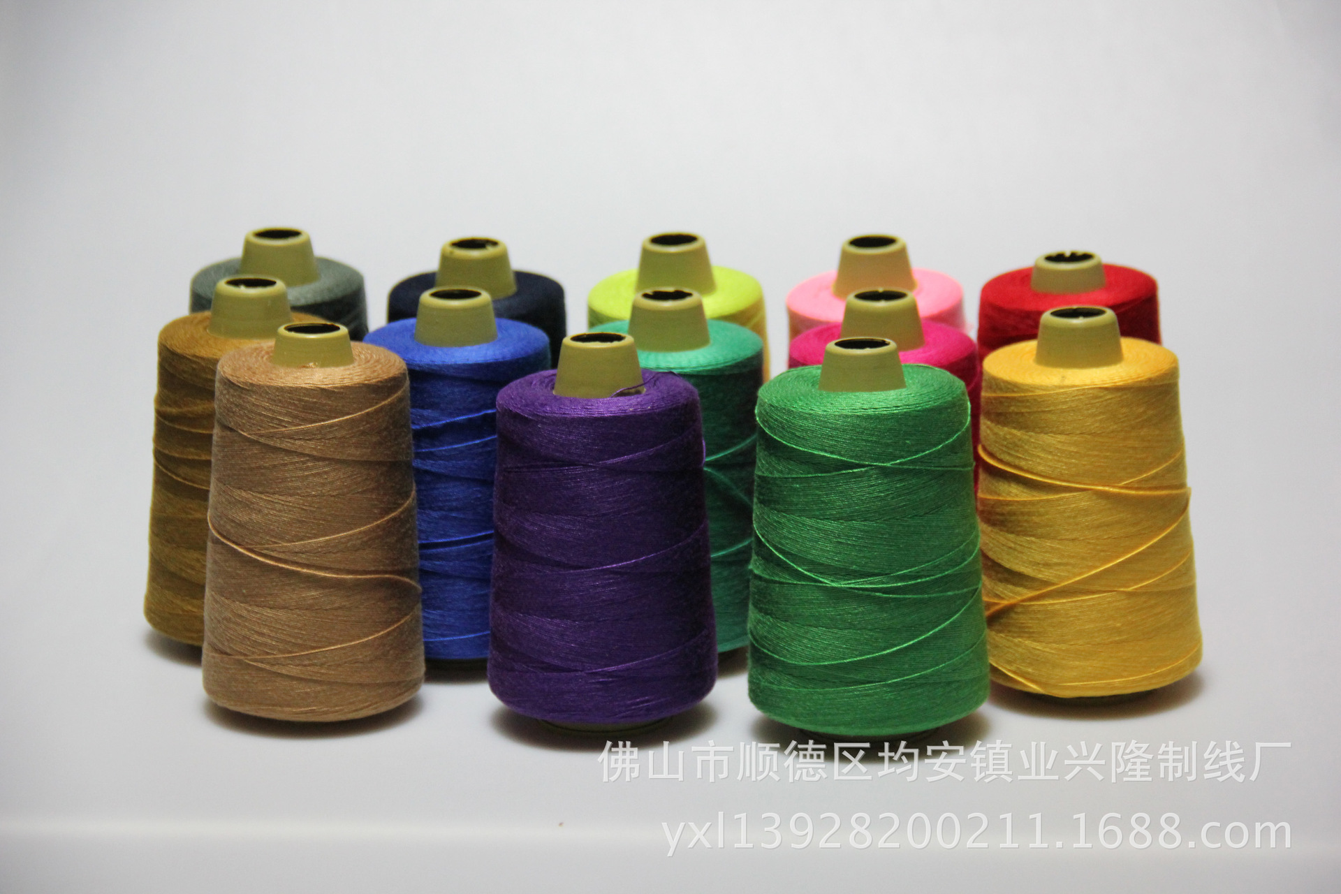 涤纶线204，IMG_4755