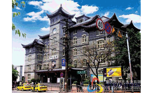 重庆中山医院