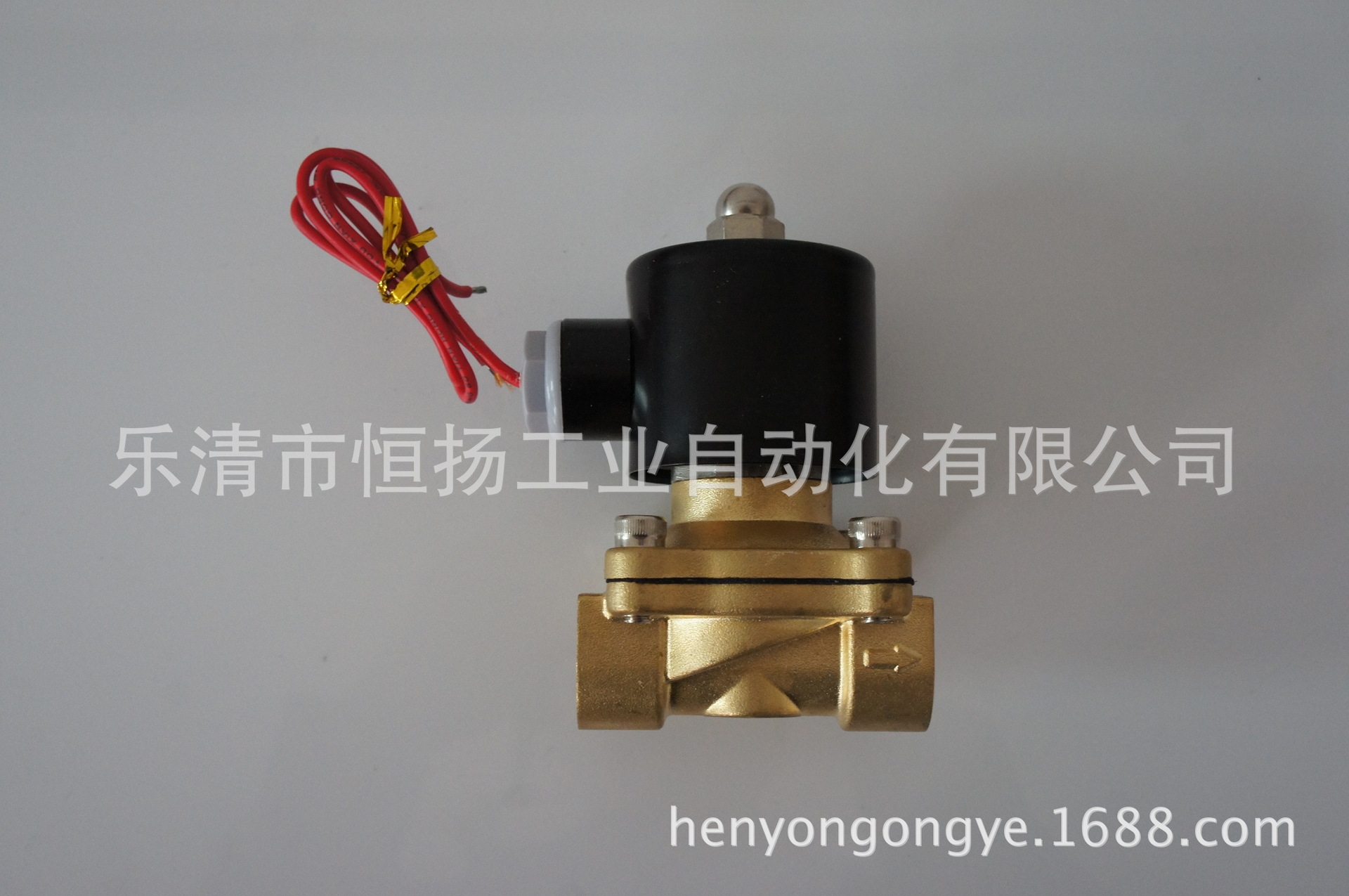 2w-200-20 120度 六分 电磁阀过热水管道使用 现货供应