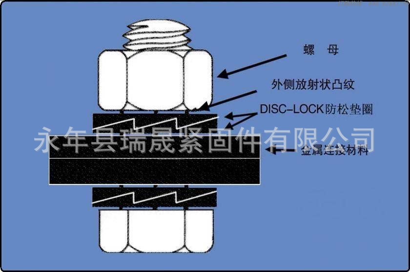 供应碟形弹簧防松垫圈