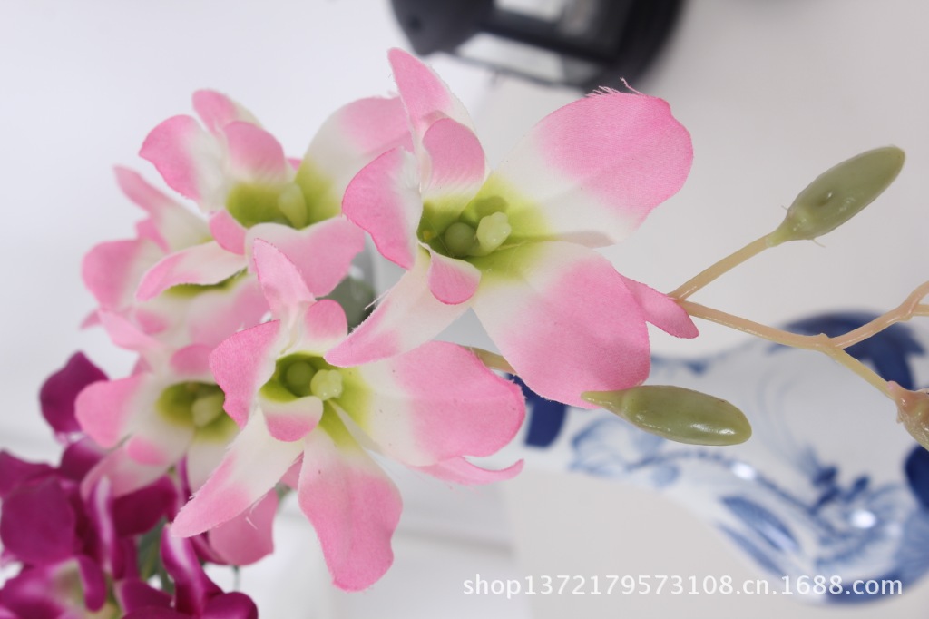 单枝小洋兰9(Little Orchid) SJB1347