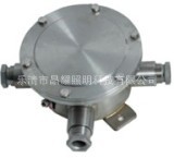 不锈钢防爆接线盒