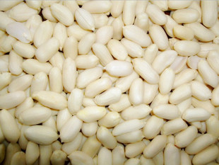 脱皮花生米 乳白花生仁 去皮大花生米 山东 花生白仁 批发详谈