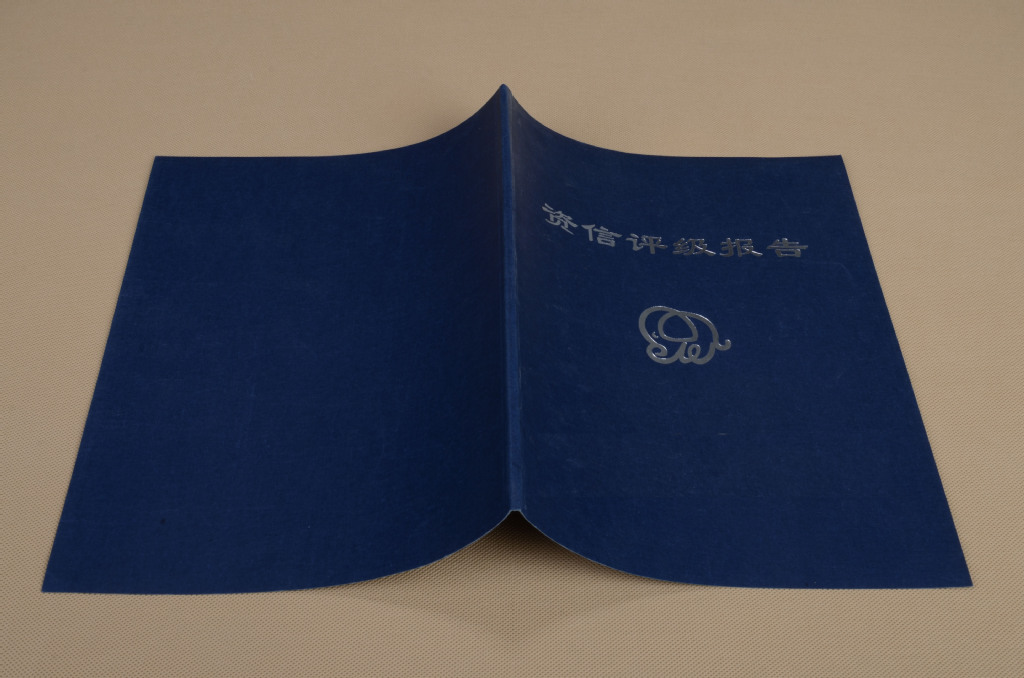 纸类印刷-厂家提供优质保单加工,报告封面,体检