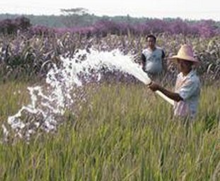 QQ图片20130904172952