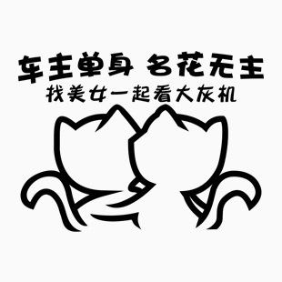 车主单身 名花无主 2