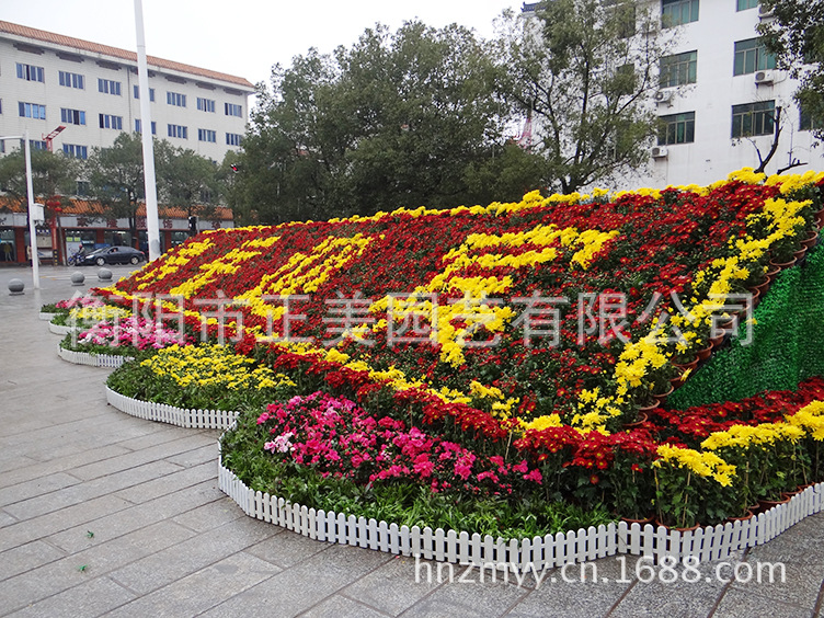 正美园艺 基地常年供应大量花坛花卉小盆景 大量批发