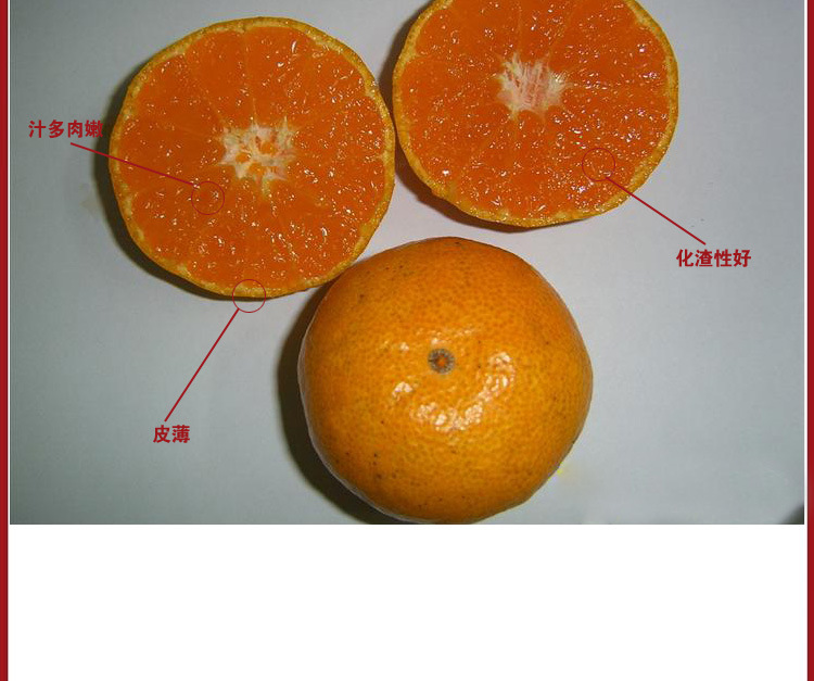 【【农鼎记】新鲜水果橘子 临海涌泉蜜橘 礼盒