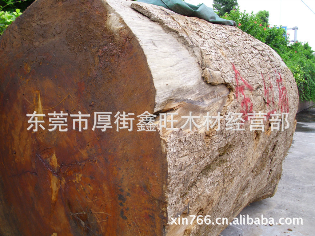 cbf2db3b77a68c02a4ce0bd8613598