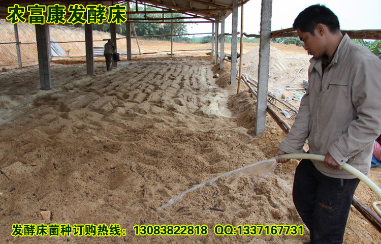 发酵床养猪菌种|发酵床养鸡菌种|发酵床养鸭菌种|发酵床养鹅.