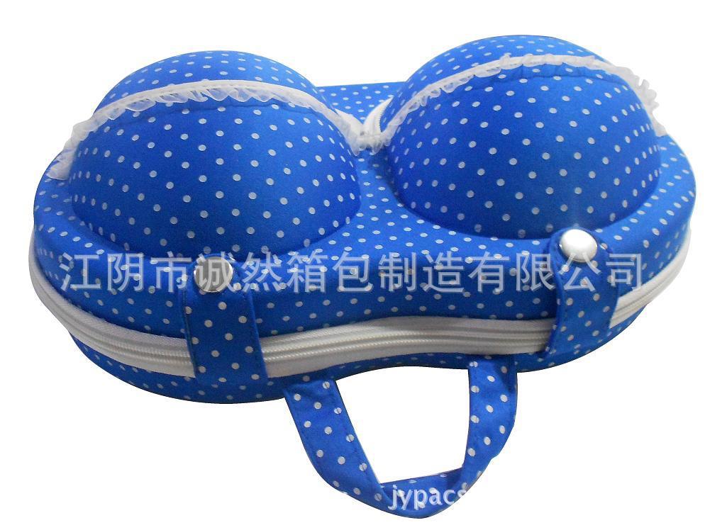 fy bra bag 001 -