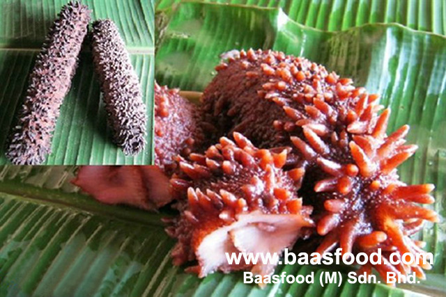 【梅花参】价格,厂家,图片,其他水产品,高和平