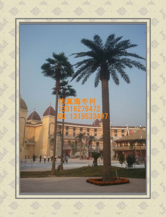 conew_qww5_sr47mt1_r]xop$s_6q