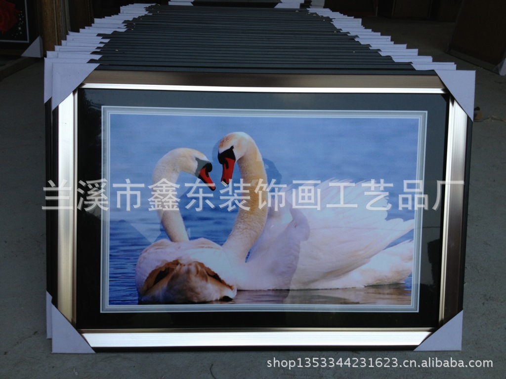 照片 112