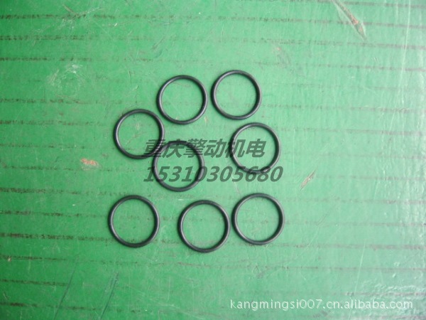 康明斯PT泵执行器o型圈 |Cummins 145504
