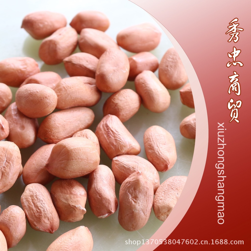 秀忠精选白花生米 白花生批发价格便宜口感又好