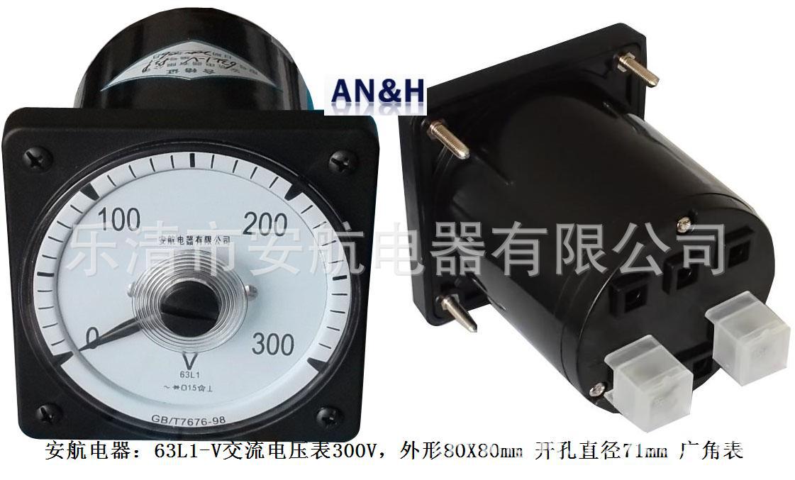 63L1-V交流电压表300V合