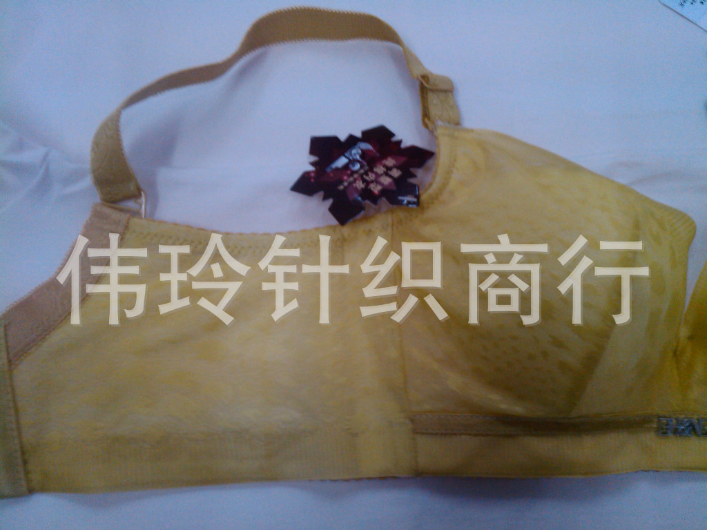 批发采购<em>文胸-3线品牌</em> 黛格莉8016聚拢中模杯