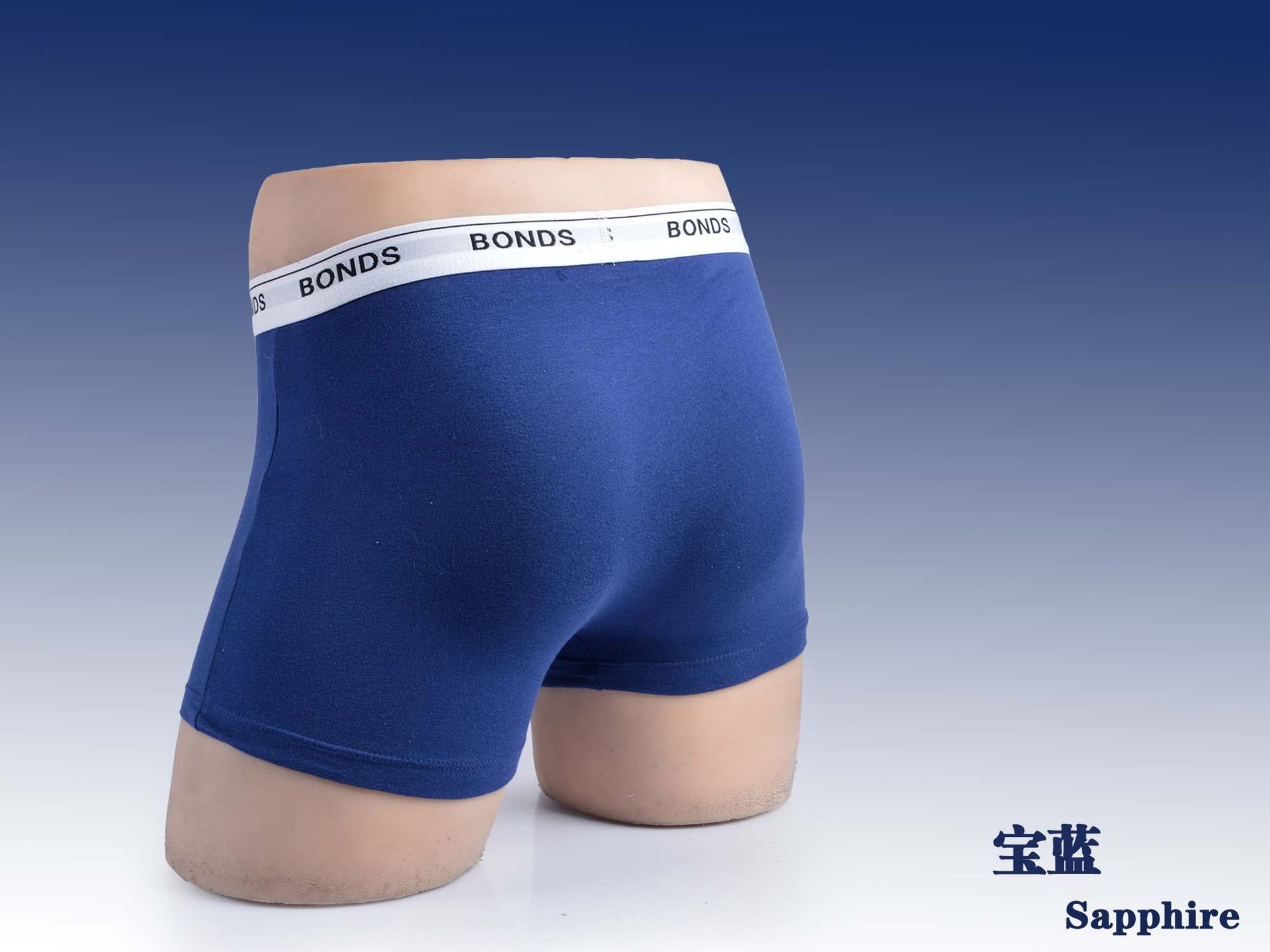 93381-5寶藍
