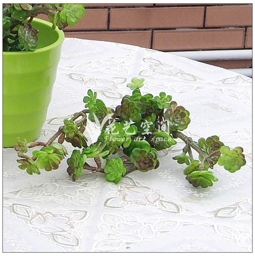 批发采购仿真植物-质量第一 长枝仙藤 多肉仿真