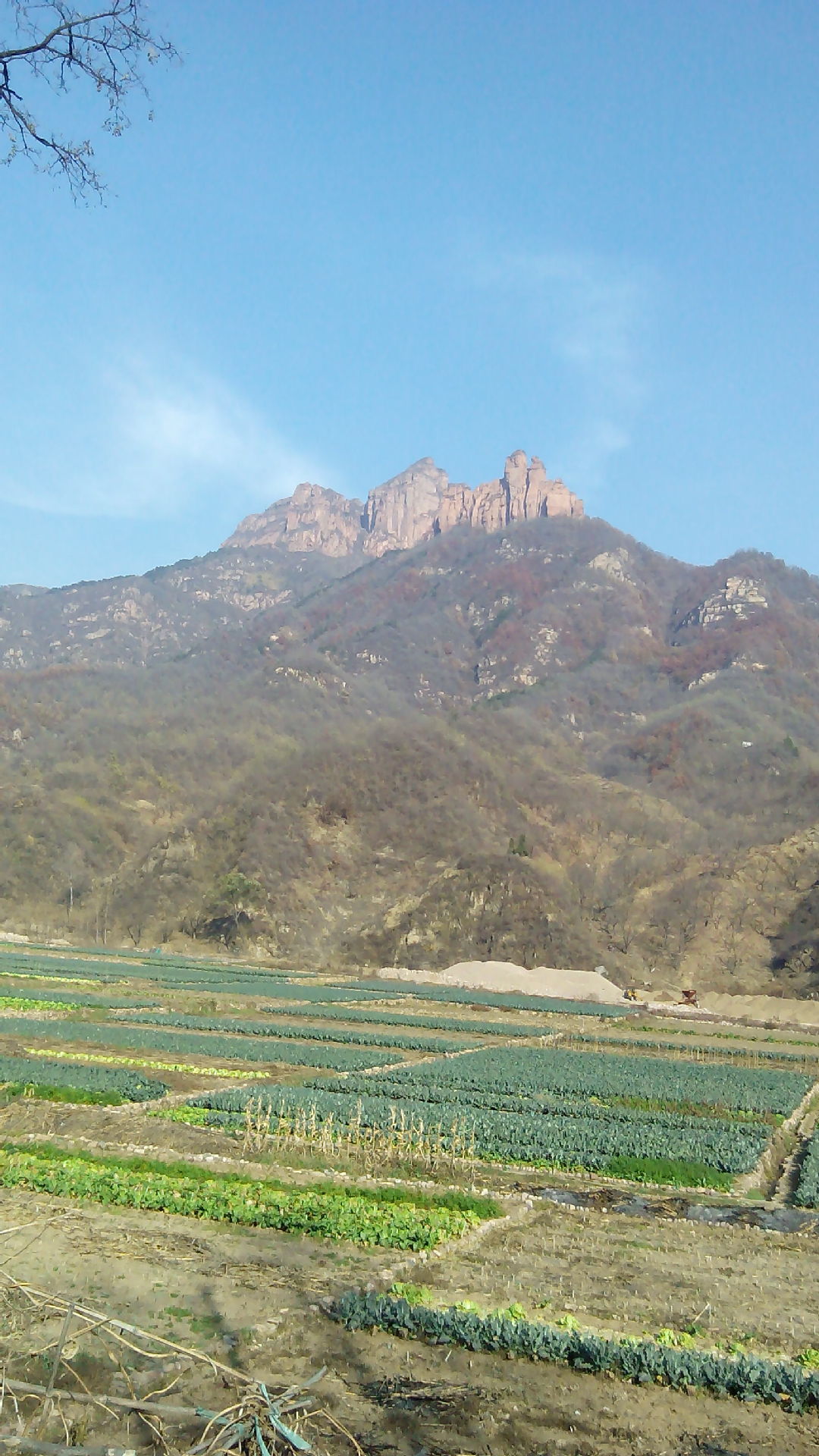柴-炼厂求购原料,催柴,常柴--阿里巴巴采购平台