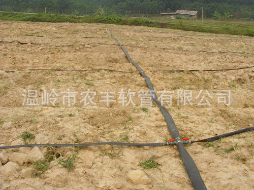 2010092056239986
