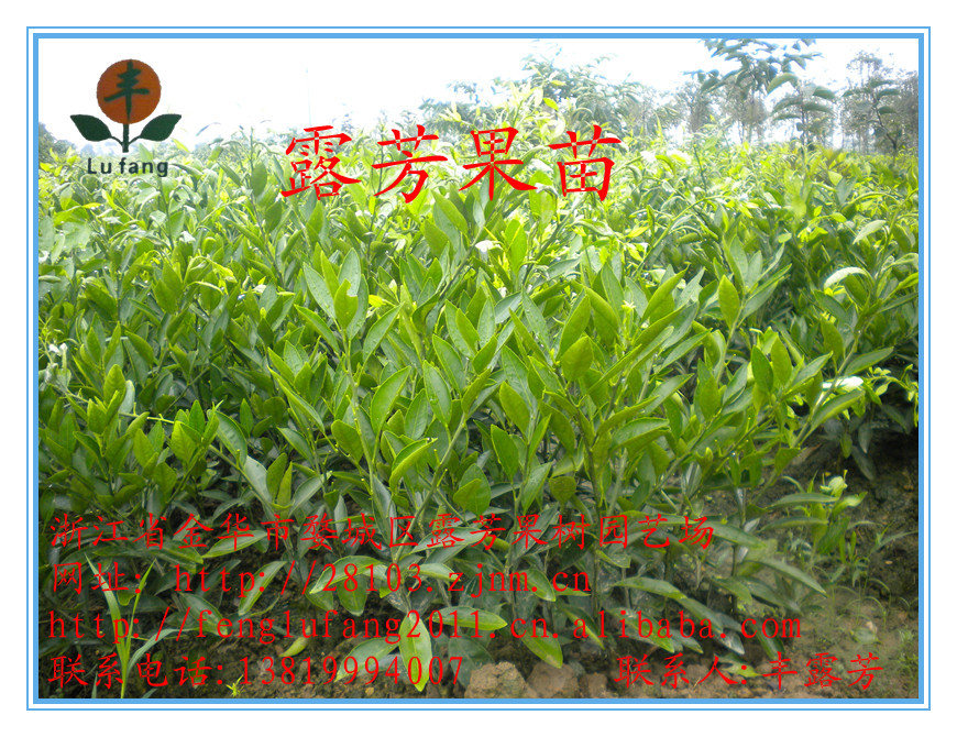 义乌海洋世界图片 120_副本