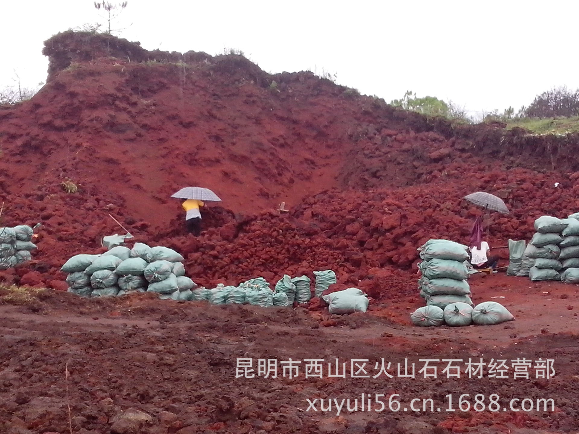 【火山石火山岩覆盖物〖天然〗【云南省腾冲】