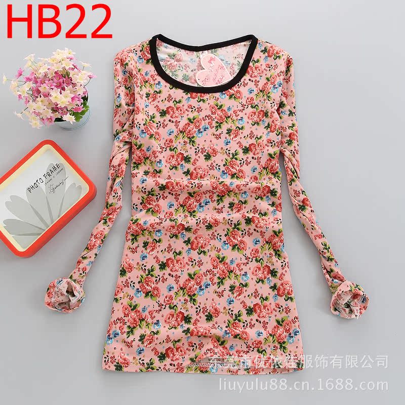 HB-22