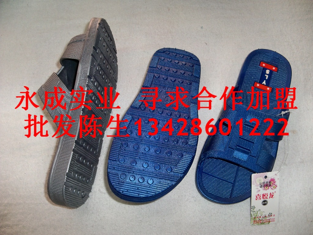 照片 288