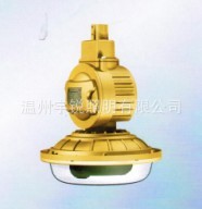 3.SBD1103-YQL50免维护节能防爆灯