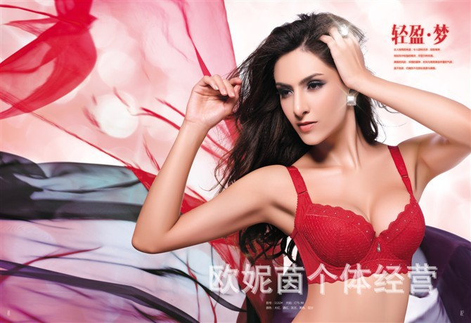 【<em>佰莉佰美</em>调整型内衣1132】价格,厂家,图片,文