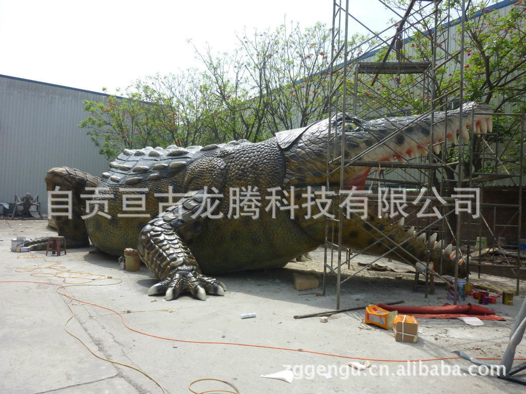 澳大利亚 鳄鱼正面