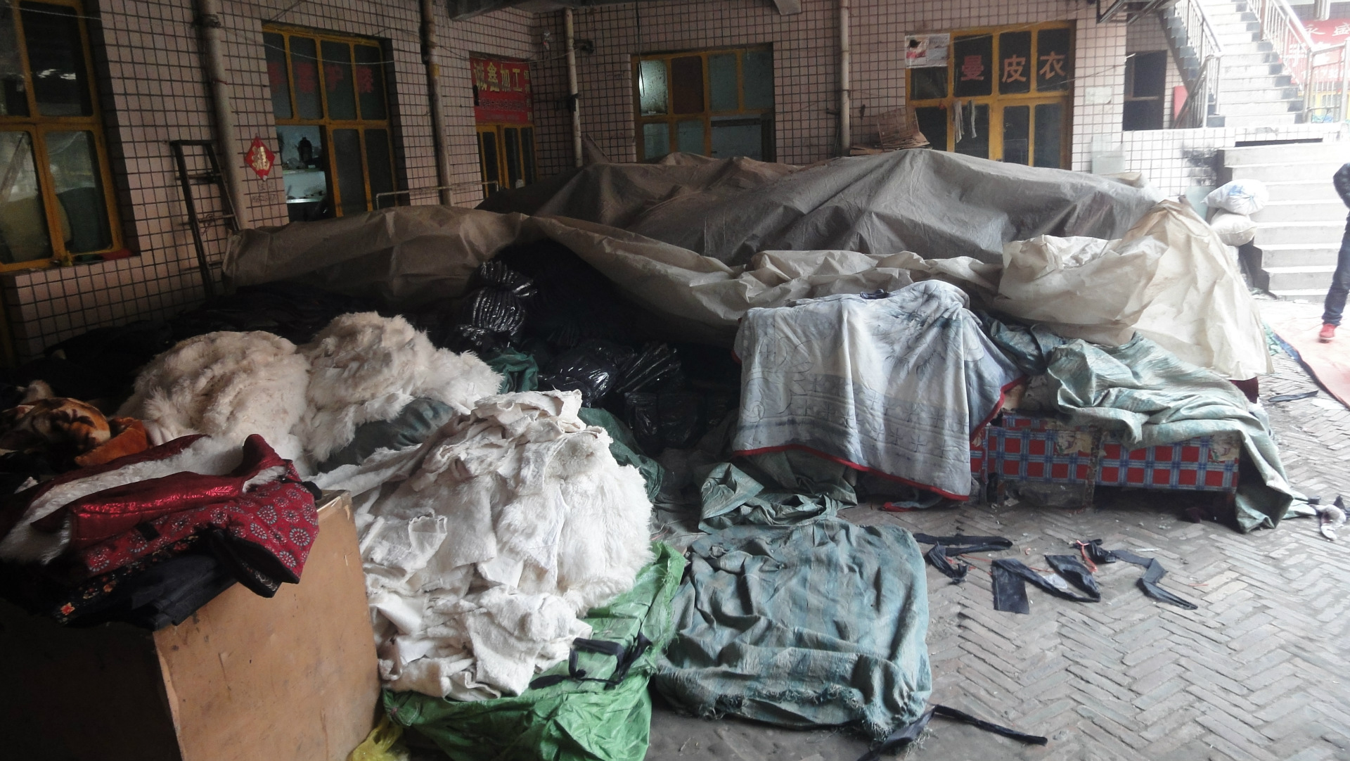 批发采购<em>男式马甲</em>-中<em>老年</em>皮草<em>马夹真皮</em>毛一体