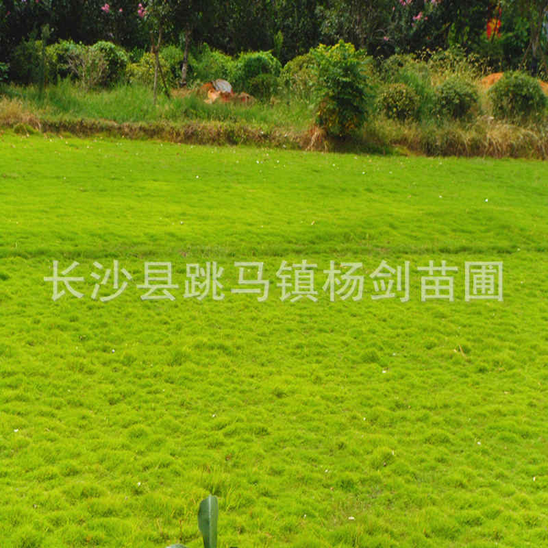 DSC01638_副本