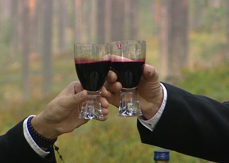 果肉、原浆-芬兰原装进口有机蓝莓汁 高抗氧化