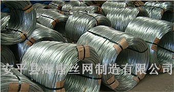 镀锌丝-海唐丝网