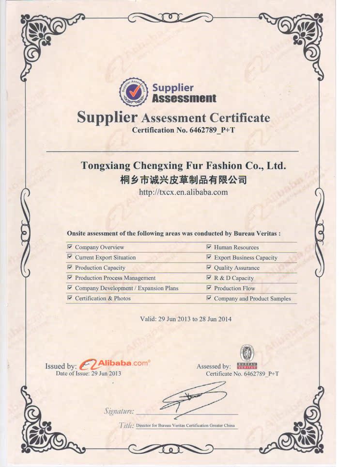 Bureau Veritas Certificate 1