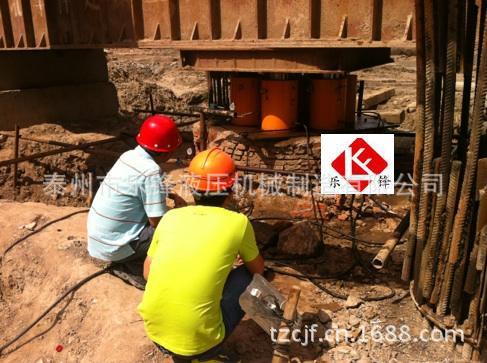 公司大吨位千斤顶图片 zj5