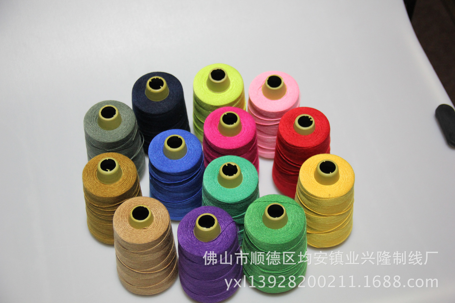 涤纶线204，IMG_4758